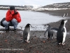 penguins_and_photograph_thumb